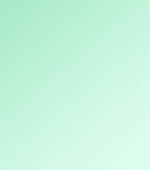 landscape2 This is caption on hover